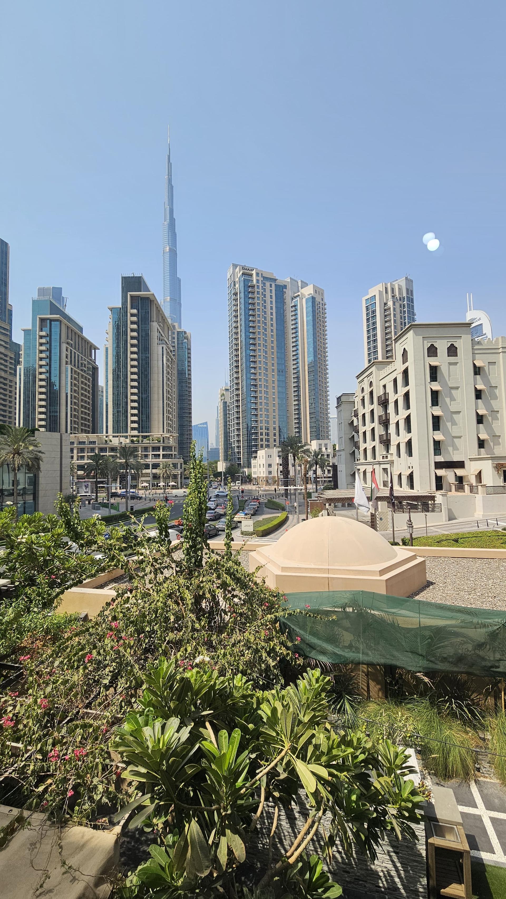 Modern Dubai Apartment Buildings and Palm Trees View